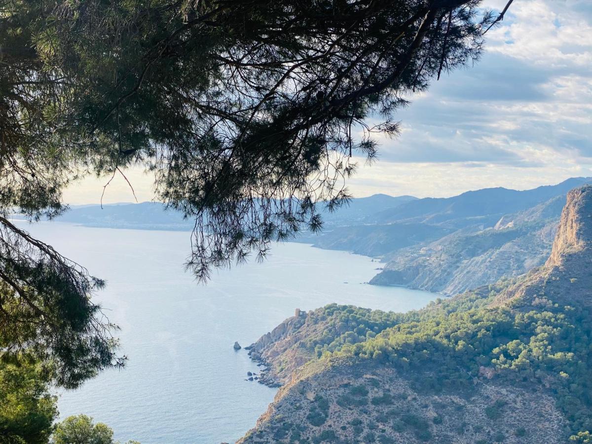 Jardines De Adnania En Marina Del Este Con Vistas Al Mar La Herradura  Exteriér fotografie